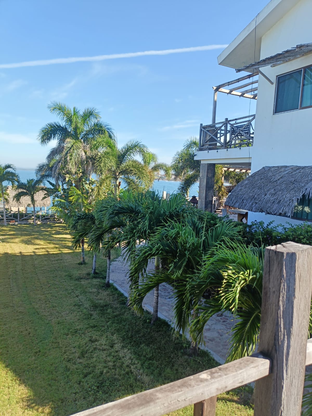 Jardín con palmeras y vista al mar