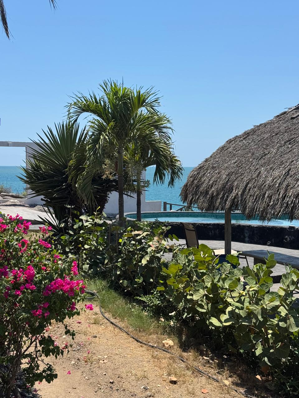 Jacuzzi exterior con buganvilias y vista al océano
